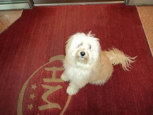 莫里斯酒店 3* 米兰